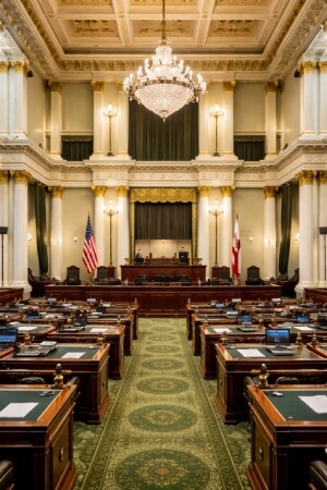 California State Assembly's Purpose